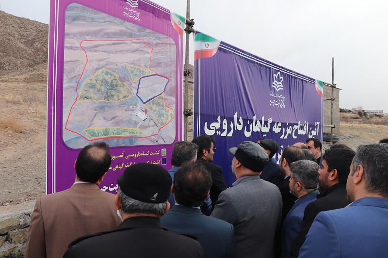 عکس_1